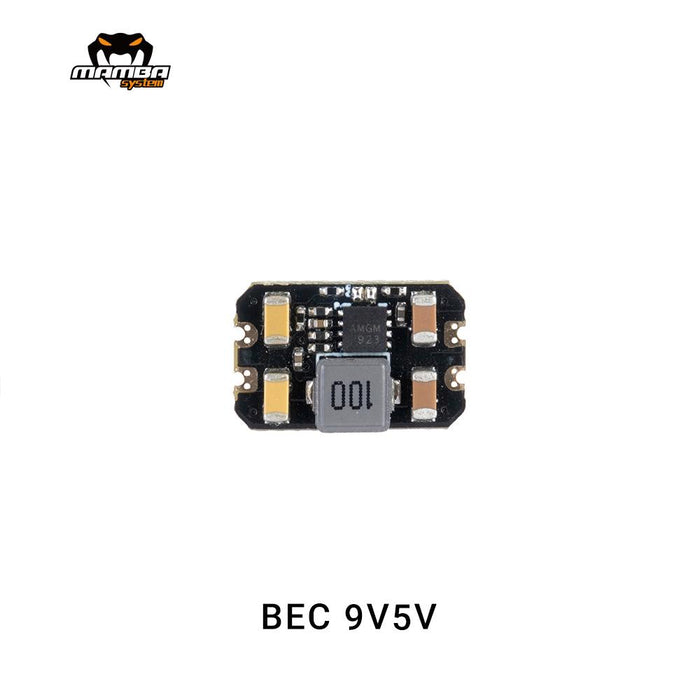 MAMBA MICRO 2A BEC 5V/9V